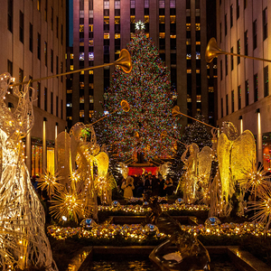 Creative Ways To Use A Christmas Backdrop Beyond The Holiday Season